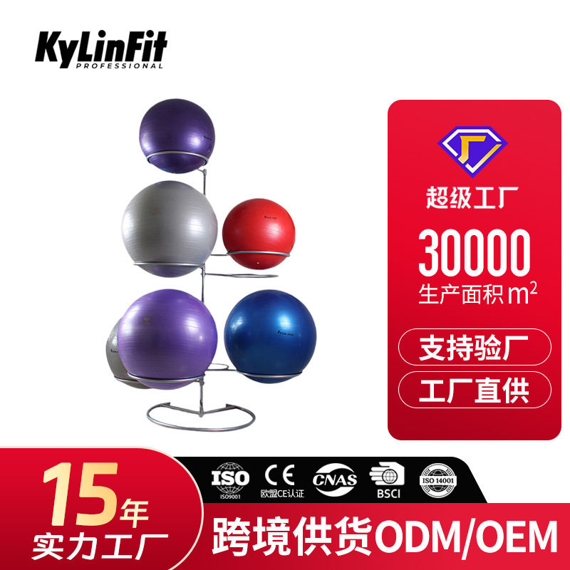 瑜伽球架 不锈钢架子 可拆卸容纳9只球 健身球架私教健身会所架子