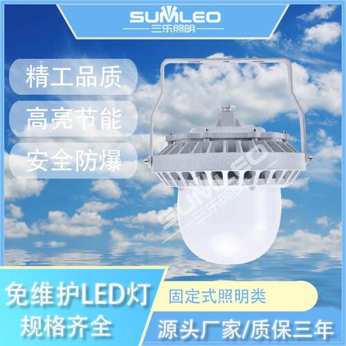 免维护LED灯SLE9186 40W50W60W投光灯仓库户外照明泛光灯
