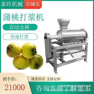 蒲桃去核打浆机杨梅去核打果浆机水果果酱生产线番茄去核打泥机