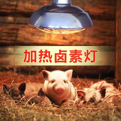 卤素保温灯育雏加热暖风灯养殖场取暖 仔猪小鸡养殖增温灯保温器
