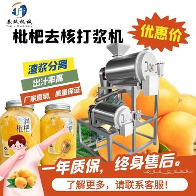 大型枇杷去核打浆机工业去核枇杷果浆加工机器枇杷果酱加工设备