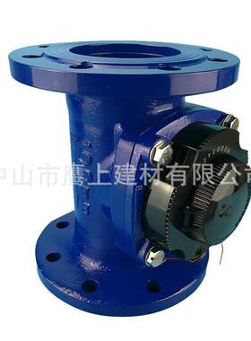 埃美柯069可拆卸式铸铁法兰水表大口径水表LXLG-E厂家