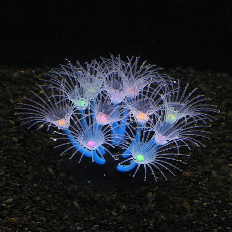 鱼缸饰品SH37装饰品仿真新款太阳花珊瑚造景水族用品荧光绿色环保,宠物/宠物食品及用品,造景/装饰,淘宝优惠券,粉丝福利购,淘宝优惠卷