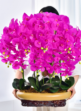 手感蝴蝶兰假花仿真花摆设客厅室内装饰花餐桌花摆花高端花束摆件