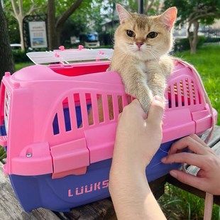 宠物航空箱猫咪狗狗托运外出便携车载小型中型猫笼狗笼子手提猫包