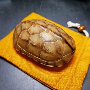 天然完整真乌龟壳精品玉面草龟壳文玩盘玩手把件龟甲黄玉龟甲卜