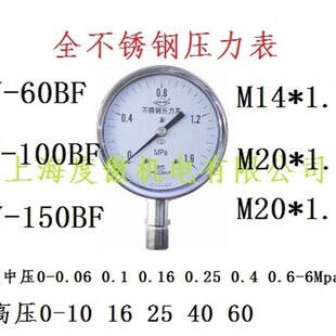 060Mpa 全不锈钢压力表Y 100BF