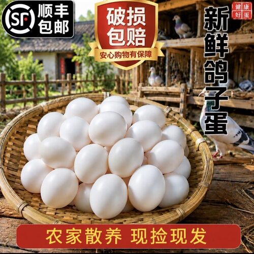 【顺丰发货】鸽子蛋新鲜白信鸽初生蛋农家五谷杂粮散养30枚正宗