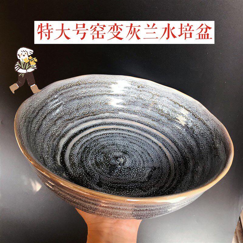 重磅强推款特大水培铜钱草碗莲水仙花盆陶瓷复古灰蓝文重器皿无孔