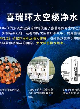 德国原装进口sera喜瑞环鱼缸滤材陶瓷环喜瑞呼吸玻璃环过滤养水