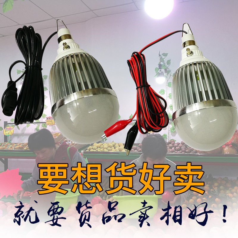 220V调色水果灯加红光生鲜灯猪肉灯12-85V电瓶变色LED地摊新鲜灯
