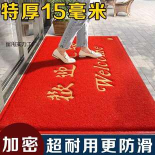 欢迎光临进门垫商铺地毯进门商用入门酒店迎宾脚垫LOGO地垫
