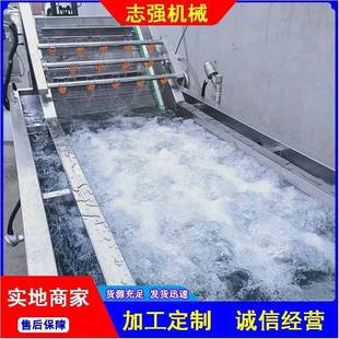 糯米粽叶连续高压喷淋清洗机模拟人工洗菜机茄子中药材气泡清洗机