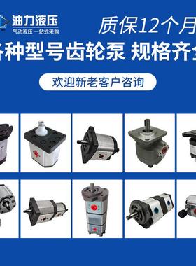 齿轮油泵HGP-3A-F8R F11R F13R 14R F19R液压泵HGP-1A 2A05R