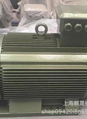 YR系列绕线转子三相异步电动机 YR280M-4-132KW电机IP23厂家直销