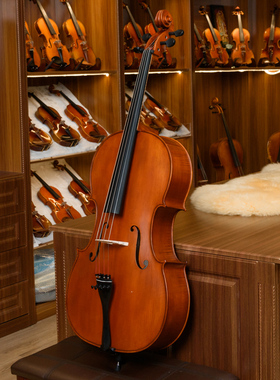 大提琴 Christina EUC3000A 欧洲原装进口大提琴 虎纹手工大提琴