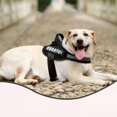 狗链子狗狗牵引绳胸背带小中型犬遛狗用品