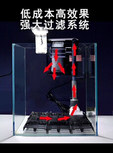 底砂过滤造景套餐真水草水族箱鱼缸小型桌面松皮石沉木装饰生态缸