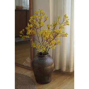 花曌 袋鼠爪花鲜花水养鲜切花真花可做干花餐桌面落地家居瓶插花