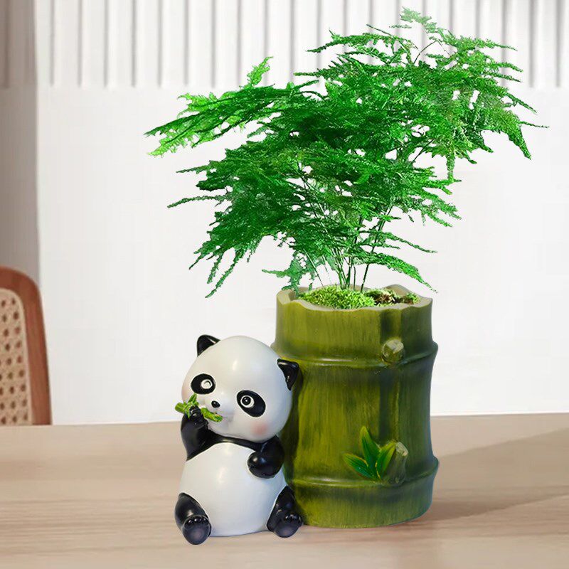 创意熊猫摆件绿萝水培花瓶水养花盆容器室内办公桌面装饰插花花器