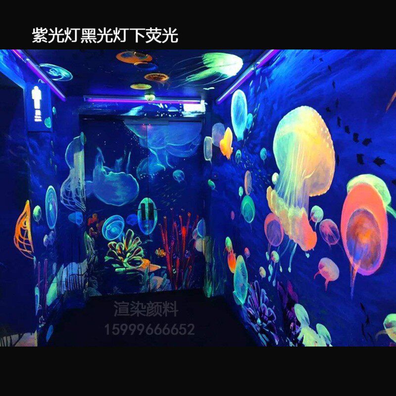 荧光彩绘颜料壁画墙绘防水艺术漆彩色手绘涂料荧光丙烯紫光灯发光