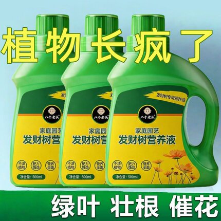 发财树专用营养液叶子发黄掉叶水培黄叶烂根黄斑室内盆栽植物肥料