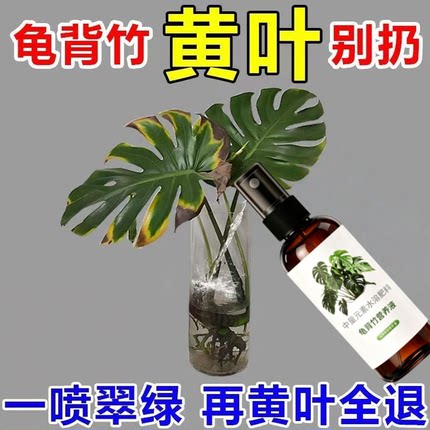 龟背竹营养液免稀释喷施叶面肥水培龟背竹专用肥锈斑病黄叶液体肥