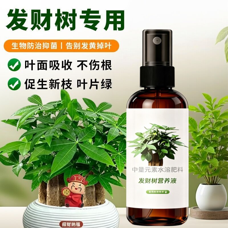发财树专用营养液防黄叶枯叶烂根绿植盆栽富贵竹家庭园艺肥料花肥