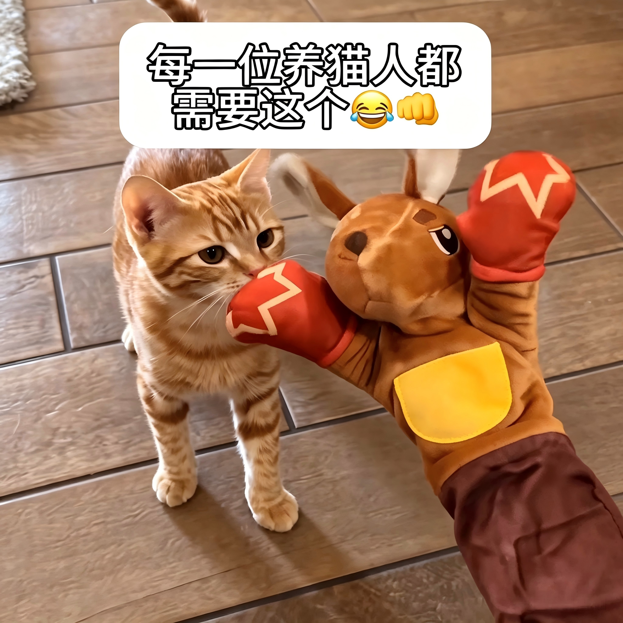 猫咪疯玩！袋鼠逗猫玩具太上头啦图片