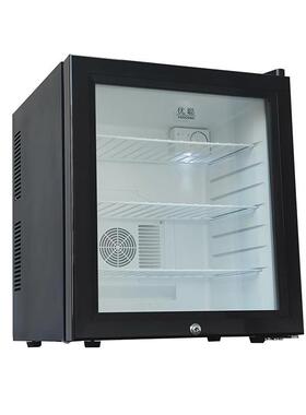 40升学校幼儿园食品留样柜小饭桌酒店冰箱保鲜冷藏箱带单双锁