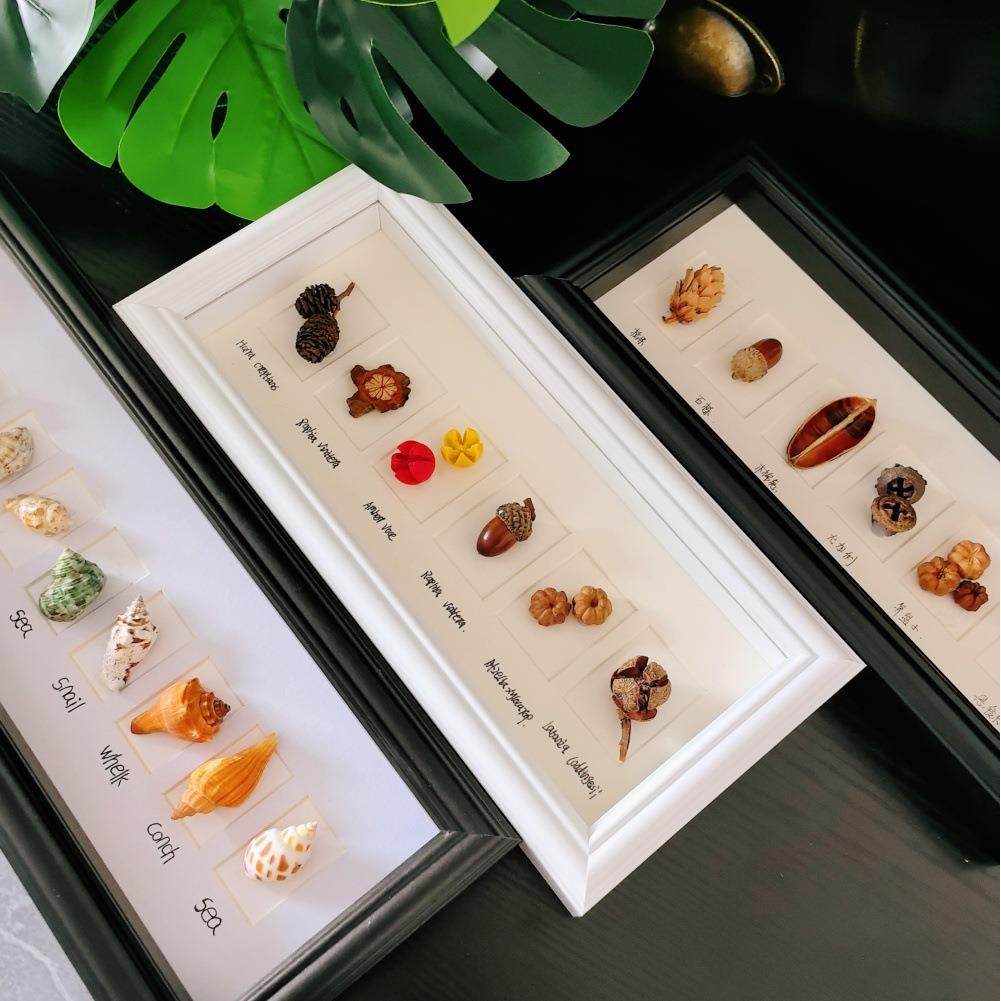 北欧木质相框手工DIY10宫格6孔贝壳昆虫植物果实标本中空摆台画框