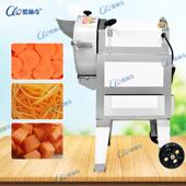徐闻木瓜切丁机 6MM10mm水果切丁块机 多功能萝卜鞠笋刨丝机