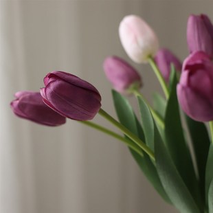 饰假花手感保湿 郁金香仿真花高档绢花装 拍照道具手捧花 紫色