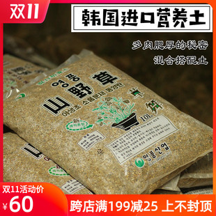 汇峰多肉 韩国进口山野草秘方土绿植花肥搭配多肉专用颗粒营养土