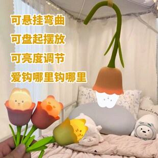 可悬挂钩式小夜灯宿舍床上铺女生寝室床帘内蚊帐内用睡觉挂灯充电