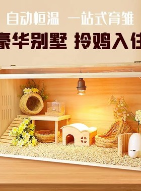 芦丁鸡饲养箱全套宠物饲养笼鸡窝卢丁鸡的房子养殖保温箱木箱笼子