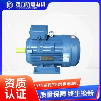 YE4系列三相异步电机 380V高效电动机大功率交流三相变频电机