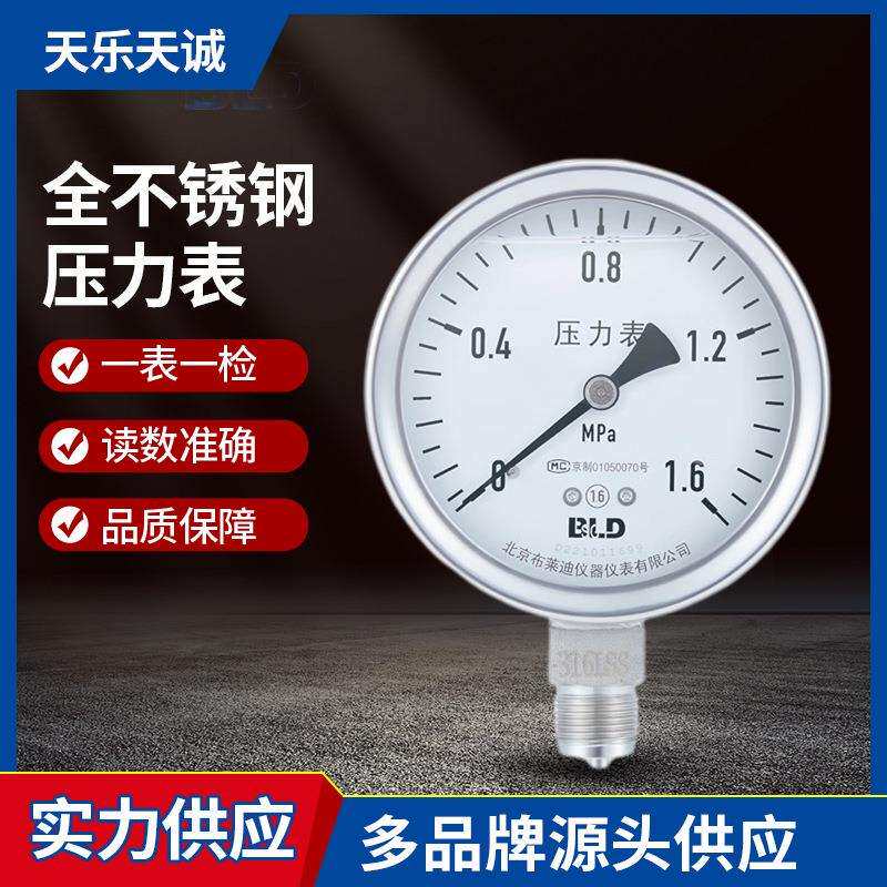全不锈钢耐震压力表YTHN-100 0～4MPa 1.6级 3/8BSP 径向无边