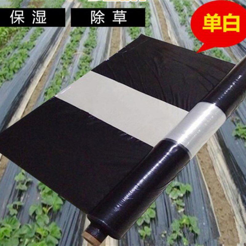 黑白相间地膜农用白黑地膜银黑大棚蔬菜果树地膜双色反光膜草莓膜