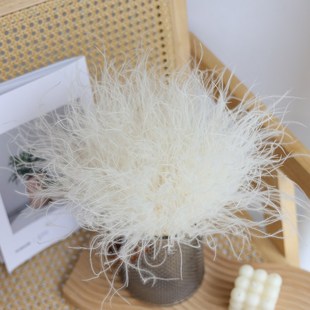 羽毛草永生花干花高级感真花进口高端花束DIY材料仙气梦幻蓬莱松