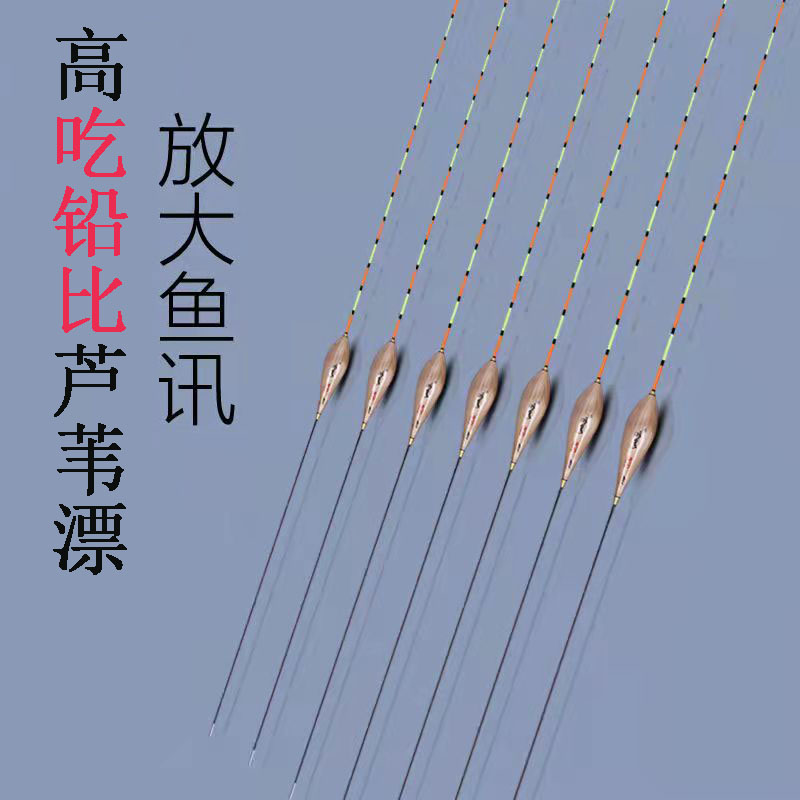 明孚芦苇鱼漂高灵敏加粗醒目鲫鱼漂轻口浮标行程漂小碎目冬钓浮漂