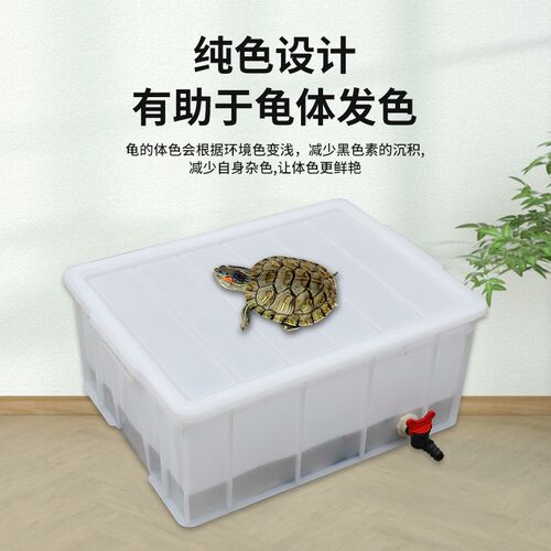 生态养殖水产箱饲养周转箱长方形加厚侧排水乌龟箱鱼缸白黑色大号