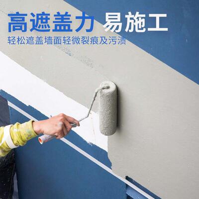 外墙乳胶漆白色防水防晒户外涂料美丽乡村工厂翻新工程墙漆20KG