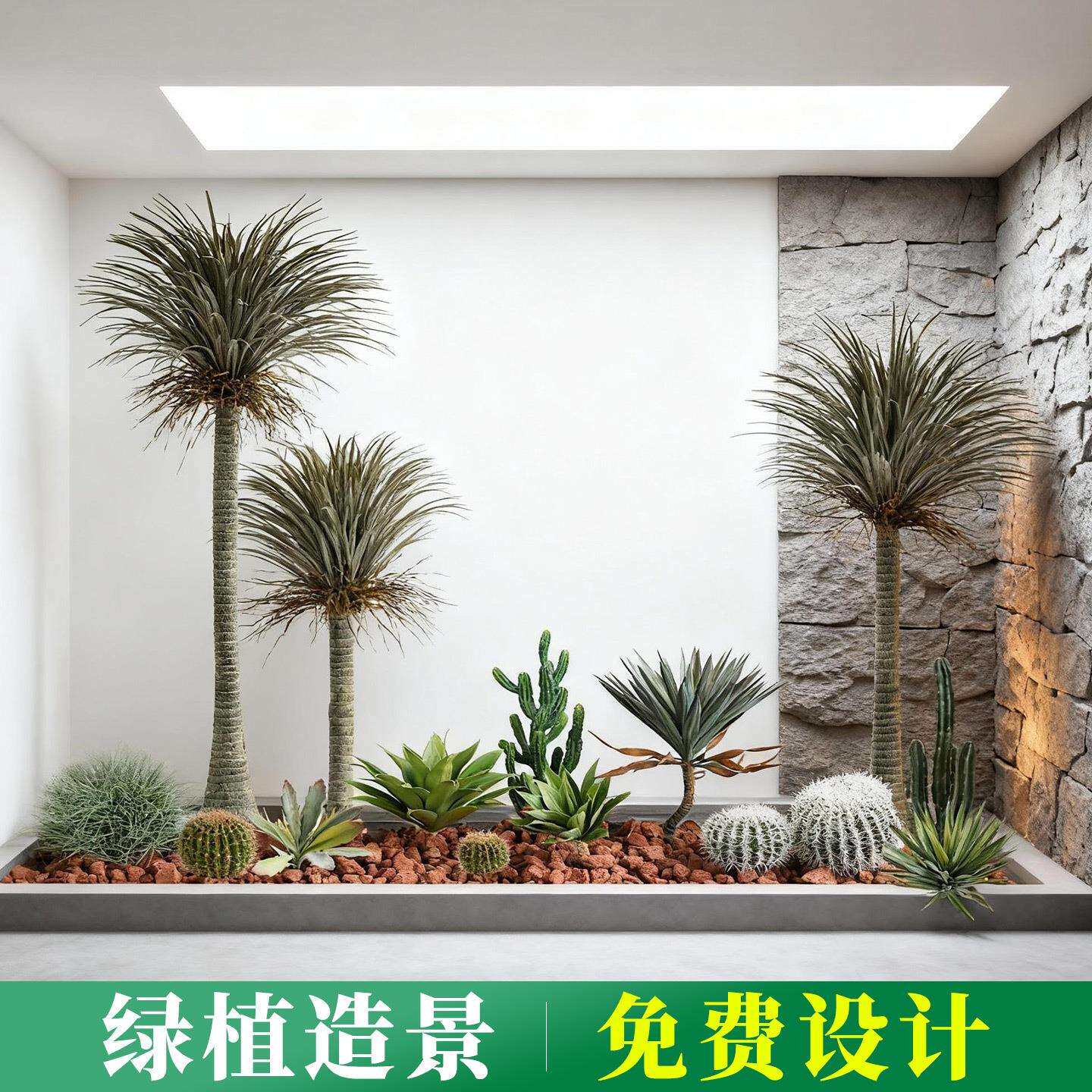 商业空间装饰绿植大型植物兰丝树橱窗造景假树丝兰树盆栽沙生植物