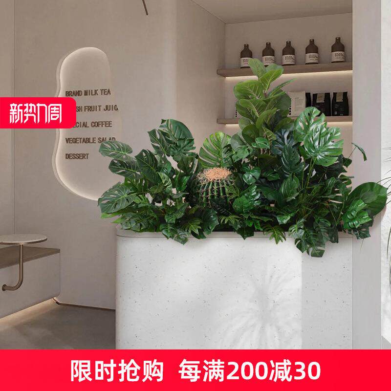 仿真绿植仙人掌龟背叶花槽花箱隔断假植物花艺酒店商场软装摆件
