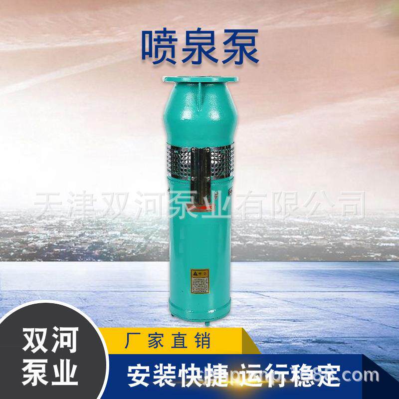 喷泉泵 高扬程喷泉泵 卧式喷泉泵 304不锈钢喷泉泵