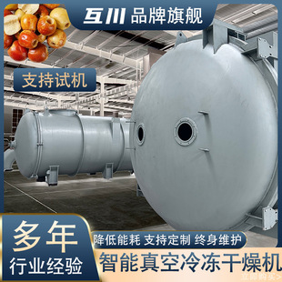 巧克力涂层糖果真空冻干机 食品国外真空冷冻干燥机 真空冻干设备