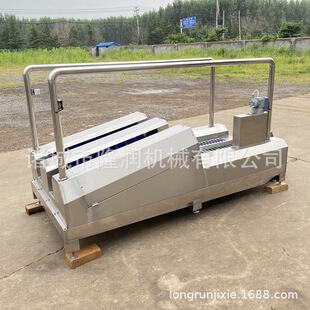 矿用单通道洗靴机 屠宰场食品厂用靴子洗刷机 靴底靴帮清洗设备