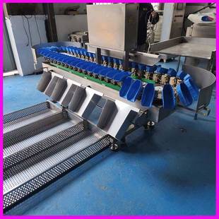 冻干海参重量分选机海鲜牡蛎鸡爪多功能重量称重机自动果蔬分拣机