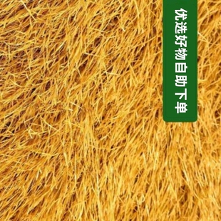 云南产茅草手工塑料鲜叶细丝人造金丝民宿农人毛草笋丝